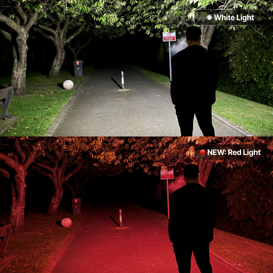 BellvoLux LED Headlamp 2.0