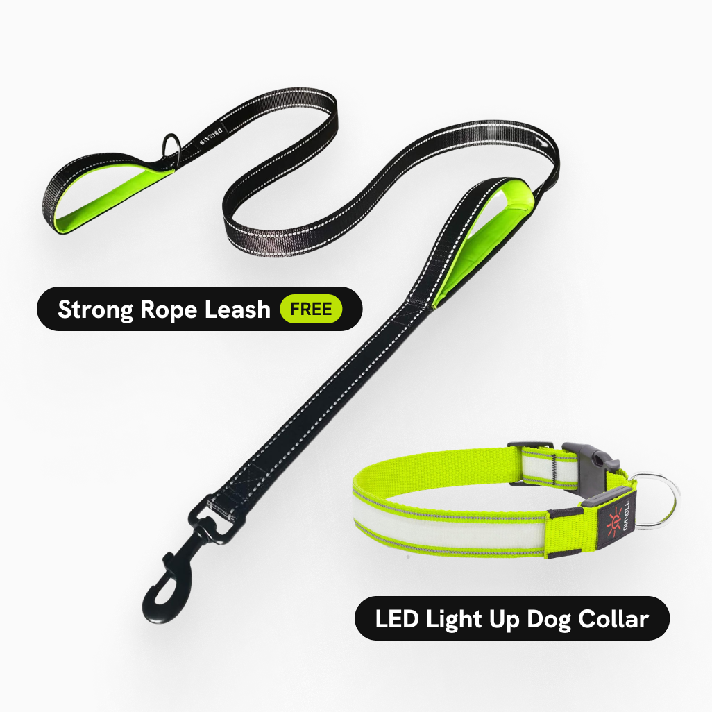 BellvoLux LED Dog Collar