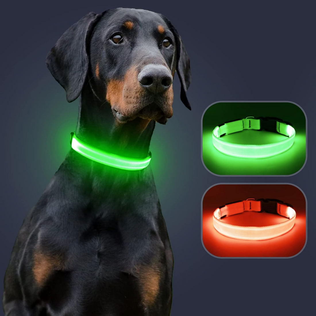 BellvoLux LED Dog Collar
