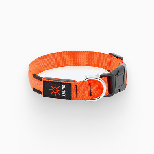 BellvoLux LED Dog Collar Orange