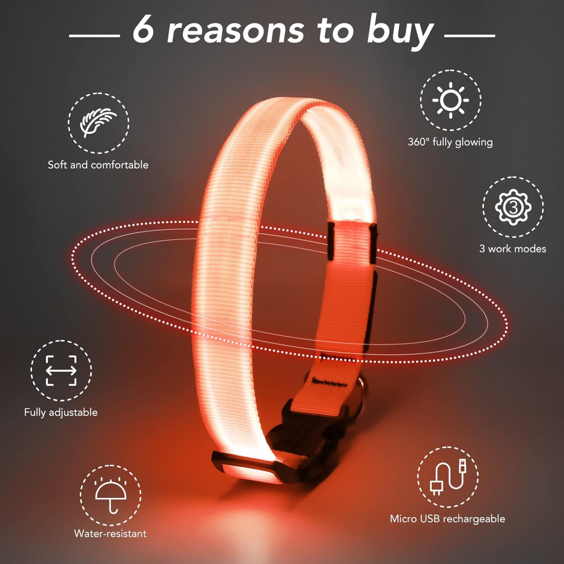 BellvoLux LED Dog Collar