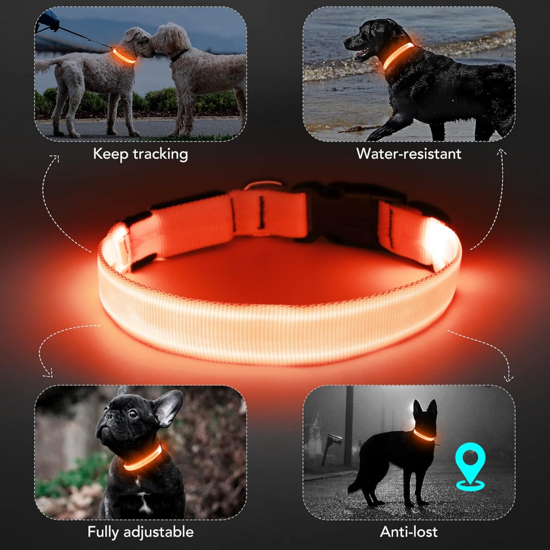 BellvoLux LED Dog Collar