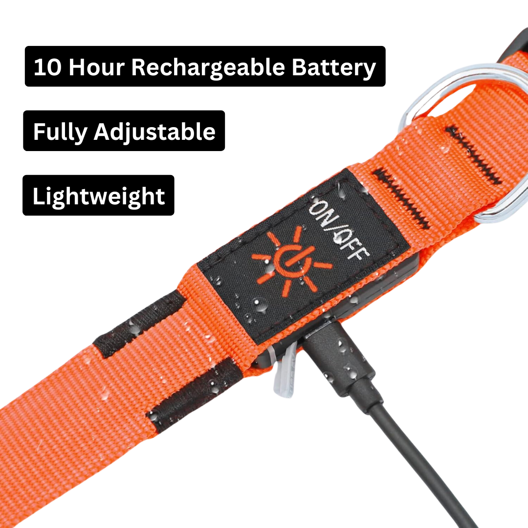 BellvoLux LED Dog Collar