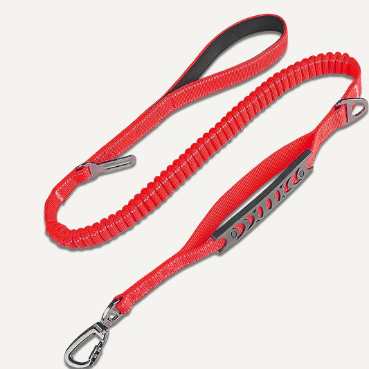 Bungee Leash