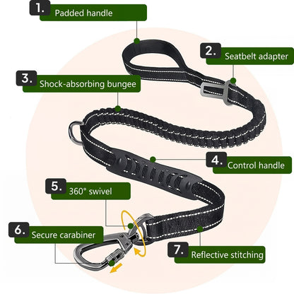 Bungee Leash