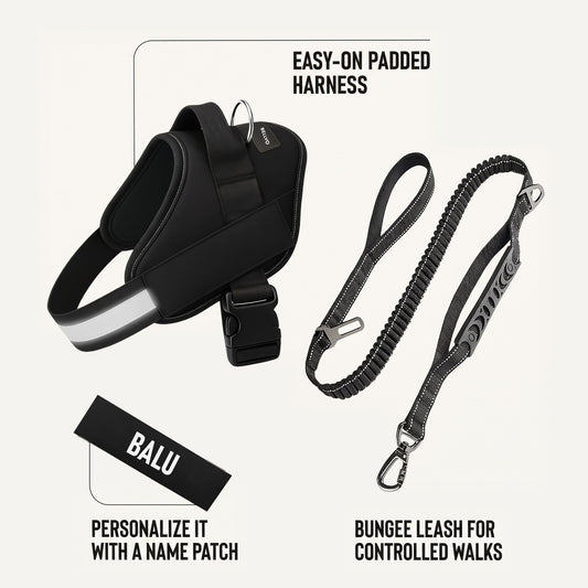 Essentials Set