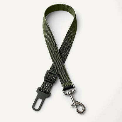 Dog Seat Belt