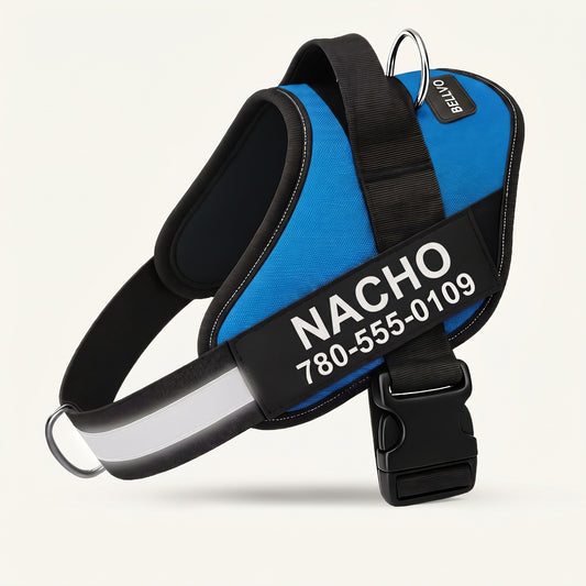 Personalized No-Pull Harness