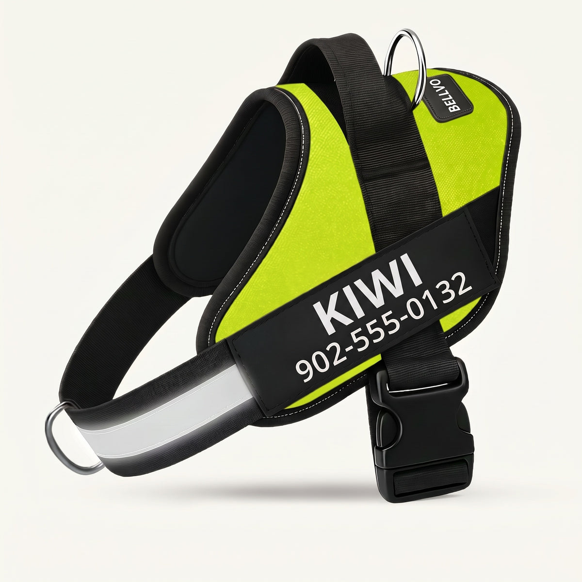 Personalized No-Pull Harness