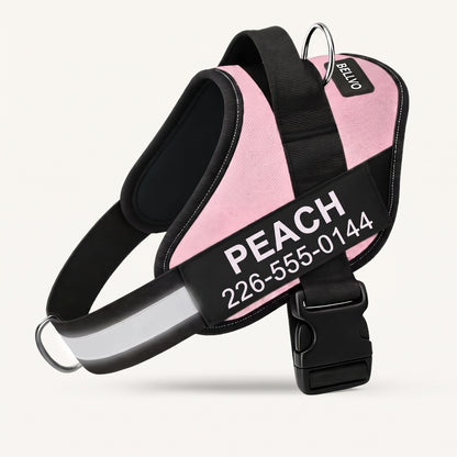 Personalized No-Pull Harness