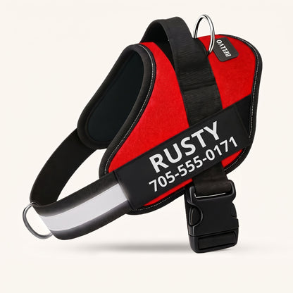 Personalized No-Pull Harness
