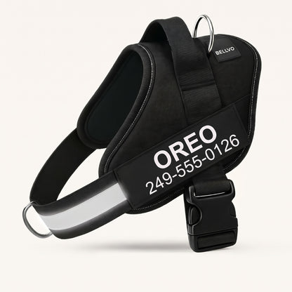 Personalized No-Pull Harness