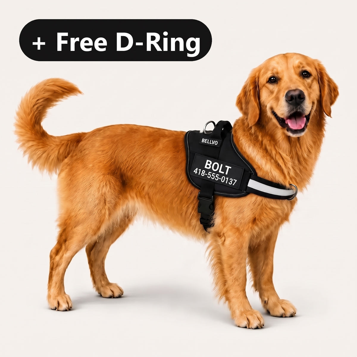 Personalized No-Pull Harness